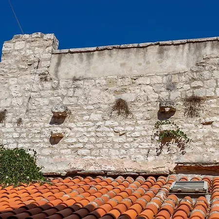 Aurelia Palace * Σπλιτ